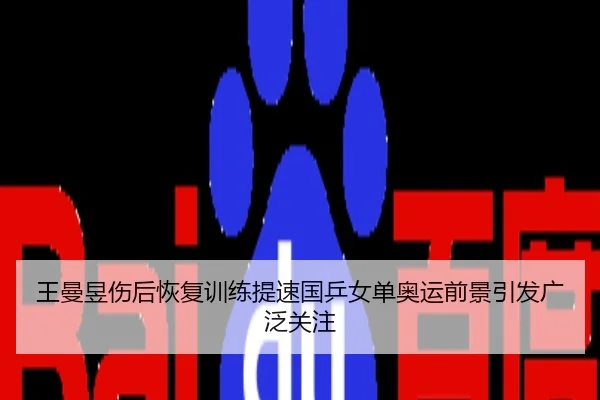 王曼昱伤后恢复训练提速国乒女单奥运前景引发广泛关注